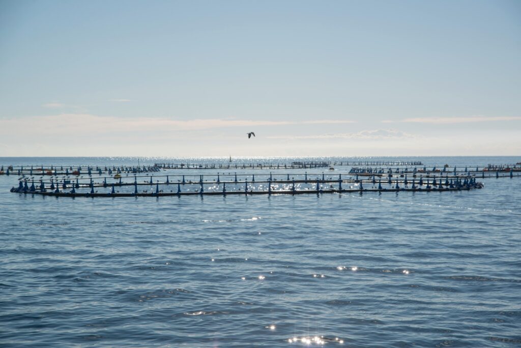 Aquaculture
